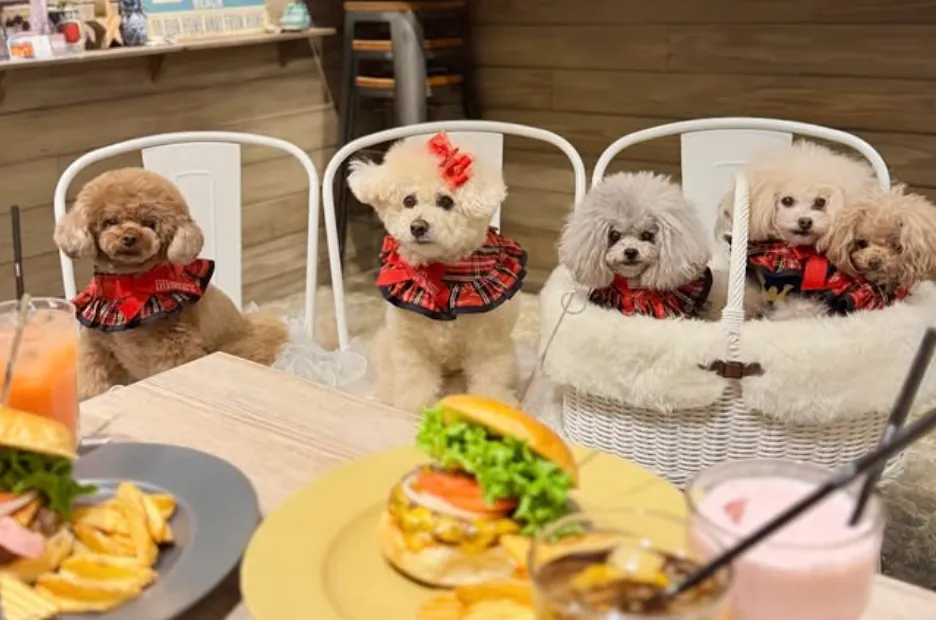 Mr.Tokyo BURGER'S cafe